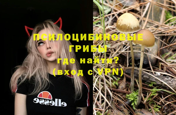 ALPHA PVP Алексеевка