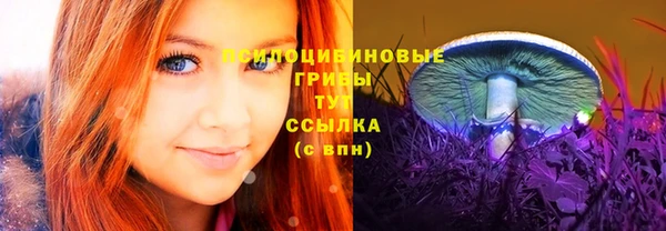 ALPHA PVP Алексеевка