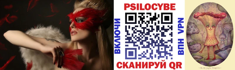 ОМГ ОМГ вход Покров Галлюциногенные грибы Psilocybe